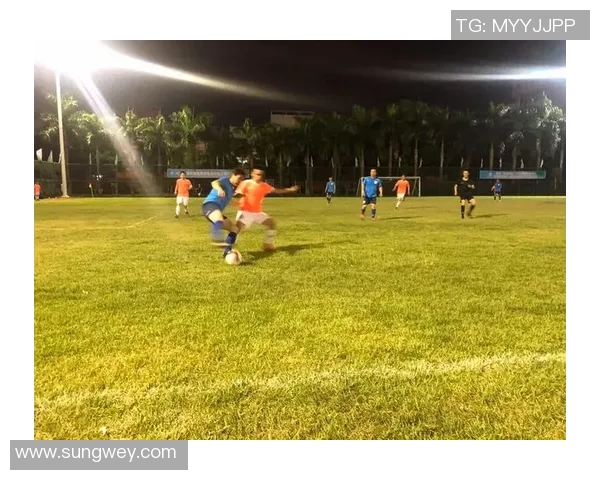 乐高足球球星人物集锦带你领略足球场上的拼搏与荣耀